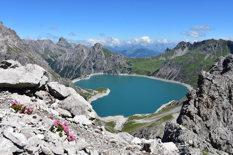 D72_5933.JPG