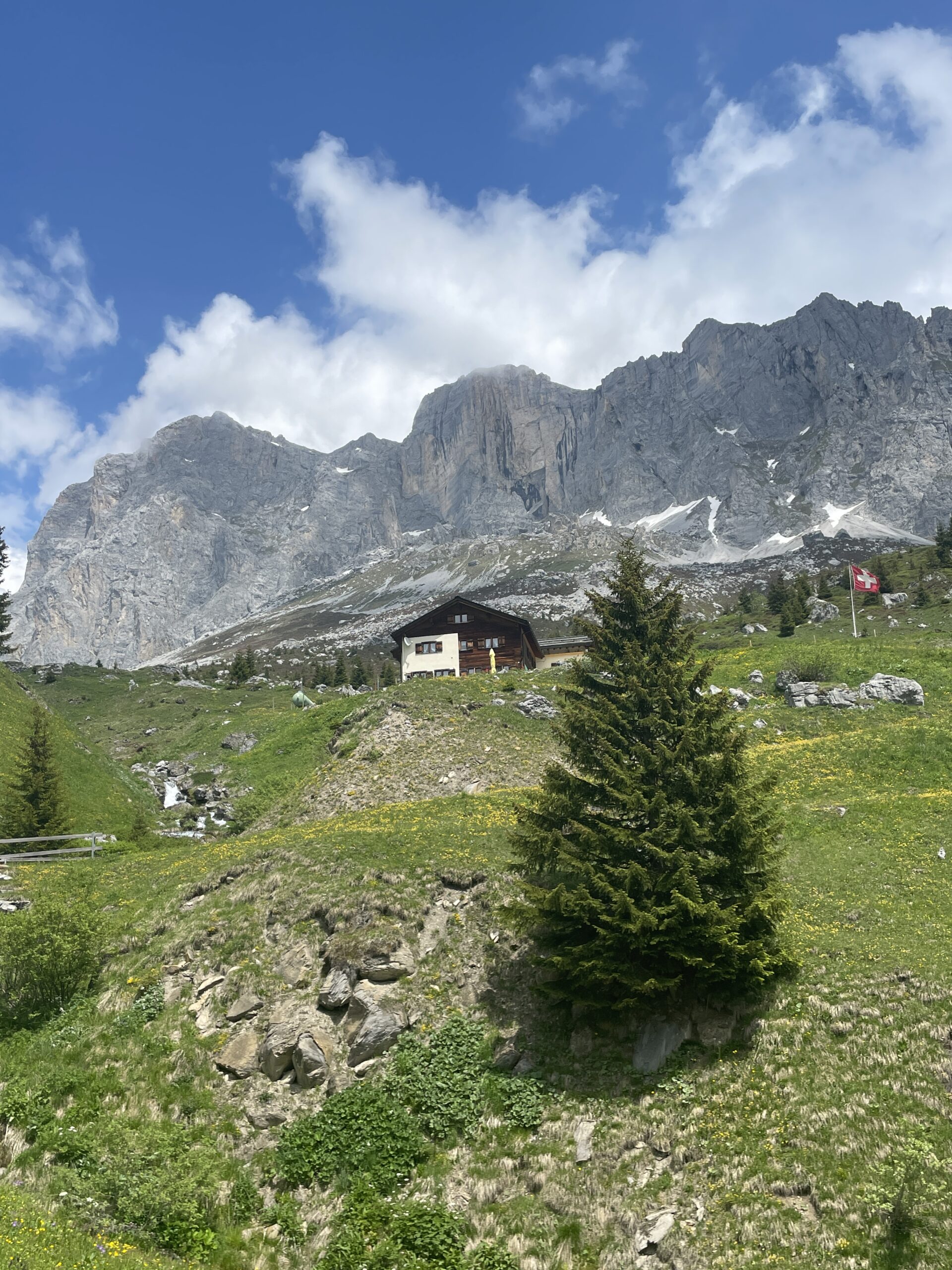 78741E23-DE4B-4931-96E8-1FFD2F8B52A2