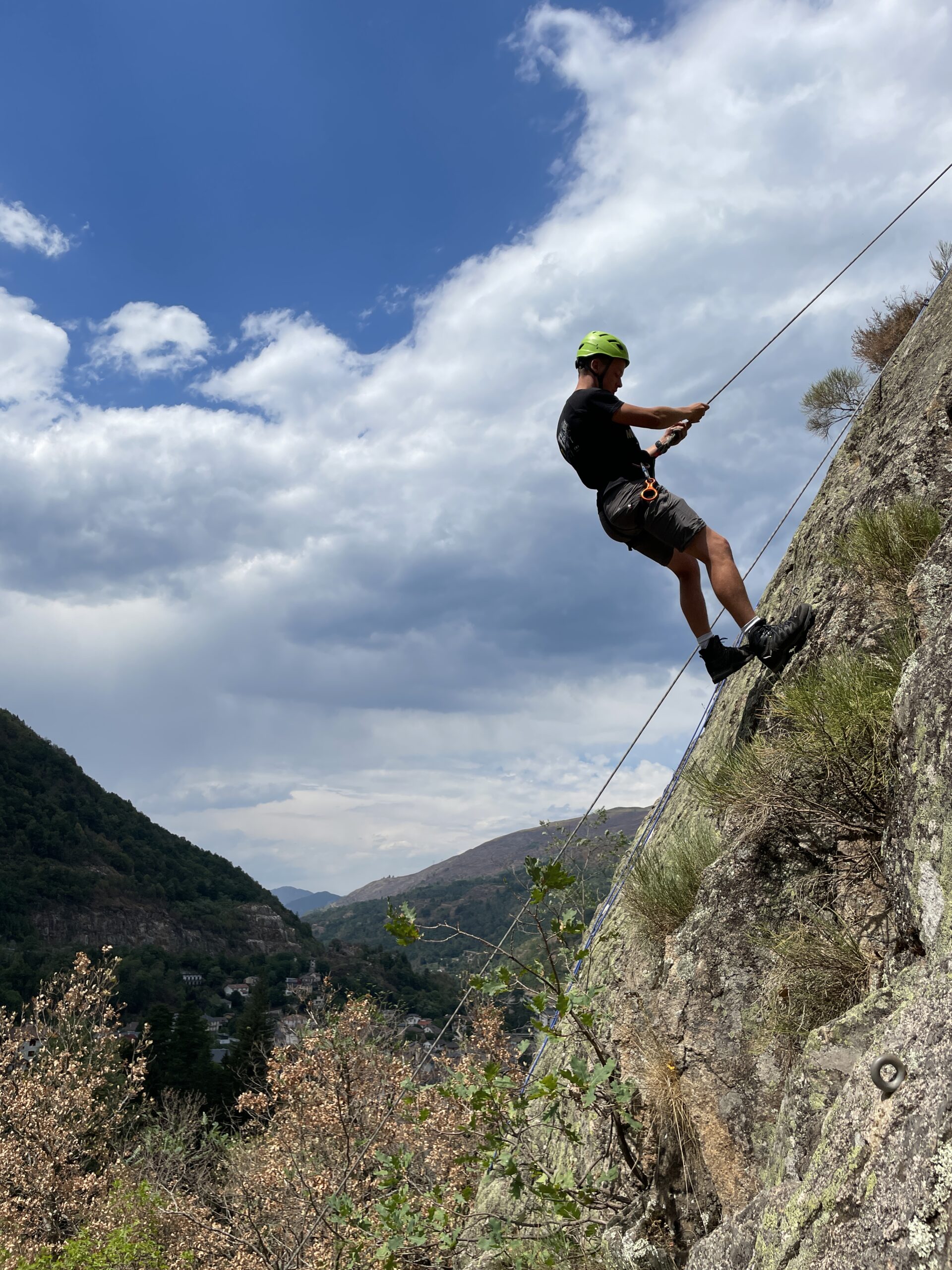 D6A66C12-A44F-4BA2-9F99-A86258D4E752